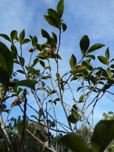20141007085729286.jpg