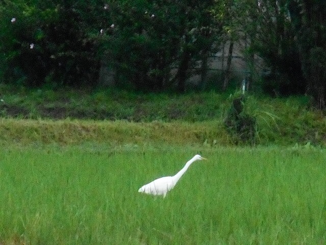 20141009072556df8.jpg