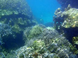 P4090001 2012-04-09 15-15-21