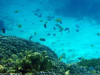 P4090001 2012-04-09 15-23-48