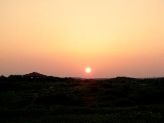 P1010001 2009-01-01