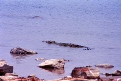 15_20120407132004.jpg
