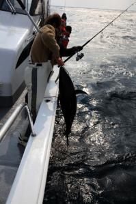 8t_20120324152647.jpg