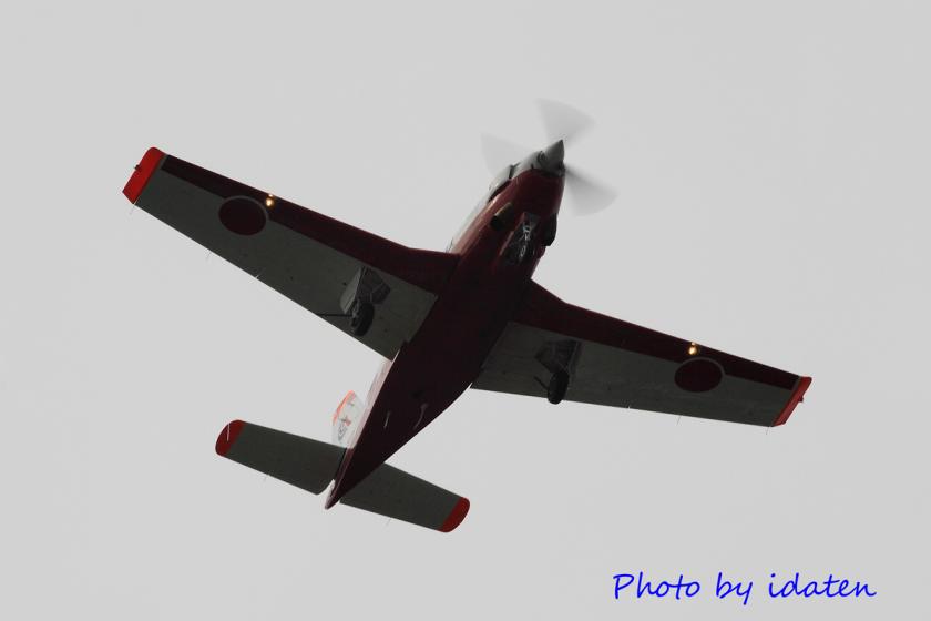 DPP_02917.jpg