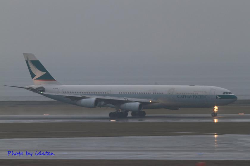 DPP_02997.jpg