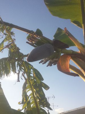 20131130_164019.jpg