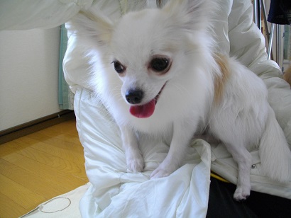 IMGP2718.jpg