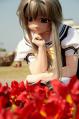 IMG_0950-1.jpg