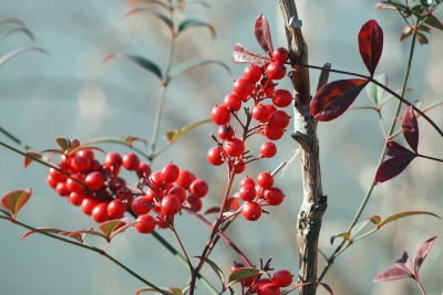 20131225.jpg