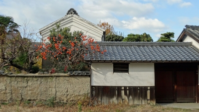 omitama2013121602.jpg