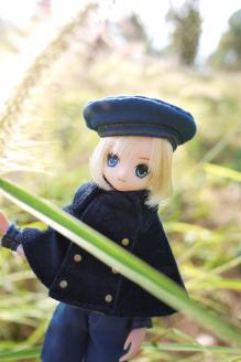 aoto pureneemo