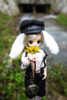 aoto pureneemo