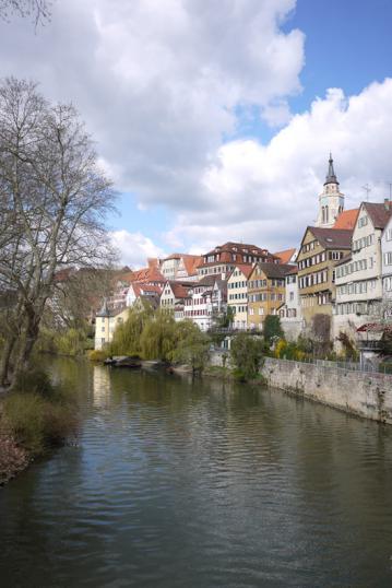 P1120017.jpg