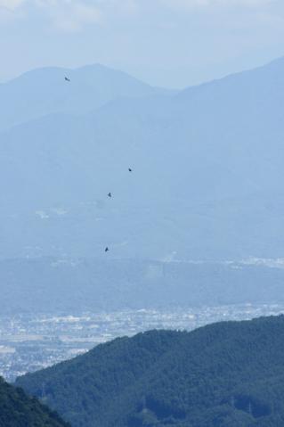 タカ柱