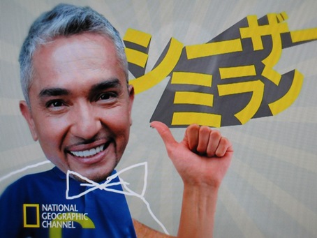 20110120_681231.jpg