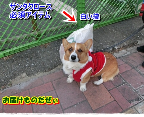 クリスマスCIMG5784