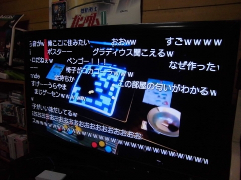 CIMG6440 (800x600)