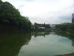 フォト