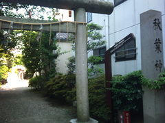 フォト