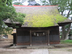 フォト