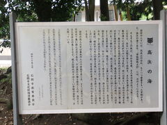 フォト