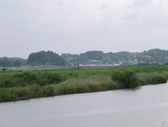 フォト