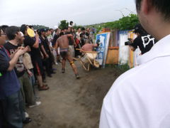 フォト