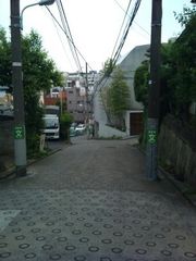 フォト