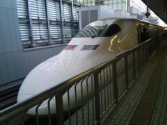 フォト