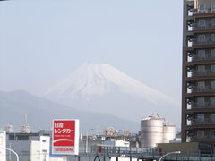 フォト