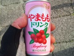 フォト