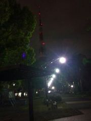 フォト
