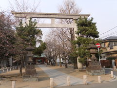 フォト
