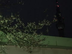 フォト
