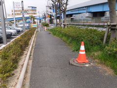 フォト