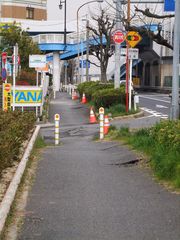 フォト
