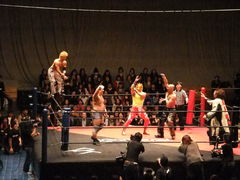 フォト