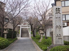 フォト