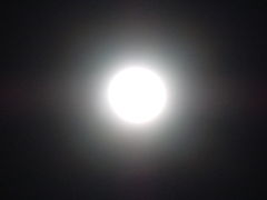 フォト