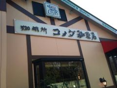 フォト