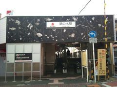 フォト