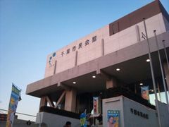 フォト