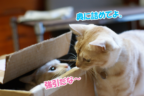 あーちゃん&みっくん