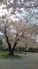 20120409140313.jpg
