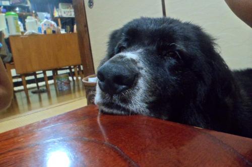 SAM_1860_convert_20140911190559.jpg