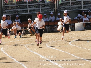 IMG_9277.jpg