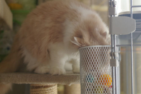 IMGP7998-m.jpg