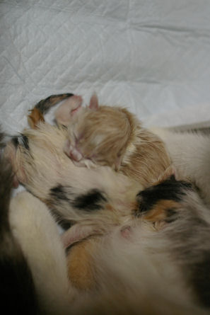 IMGP8104-m.jpg