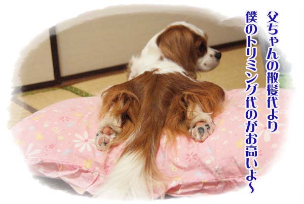 20110812_1.jpg
