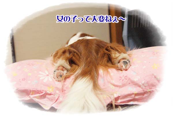 20110812_2.jpg